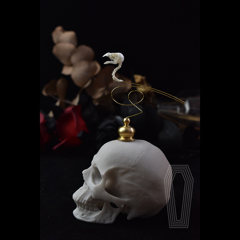 2111 Boutique Ethical Bird Sku - Art Craft Museum ulasan dan harga