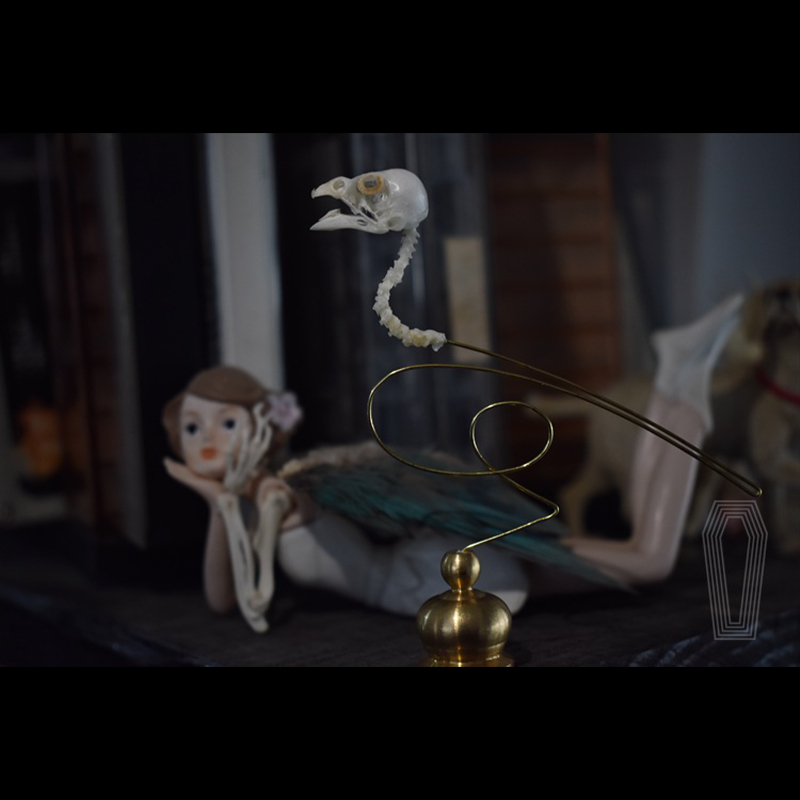 2111 Boutique Ethical Bird Sku - Art Craft Museum ulasan dan harga